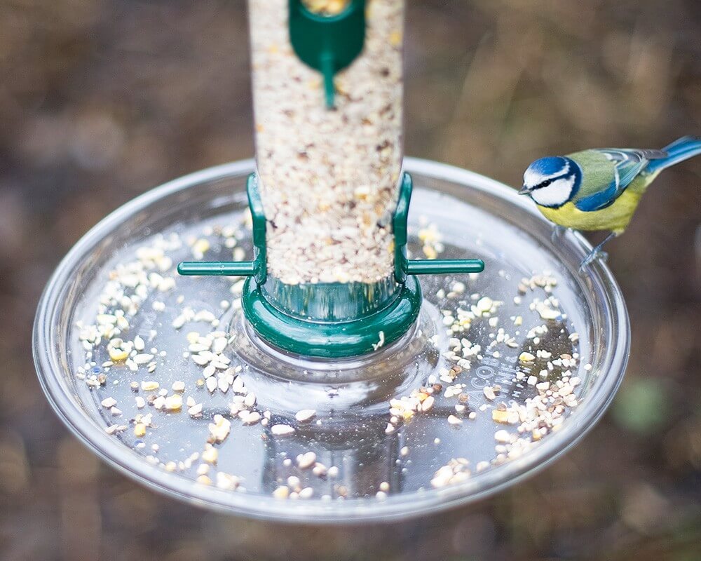 Feeder Tray