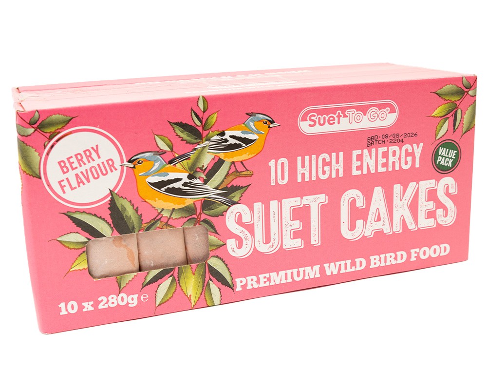 Suet Blocks - Berry Flavour