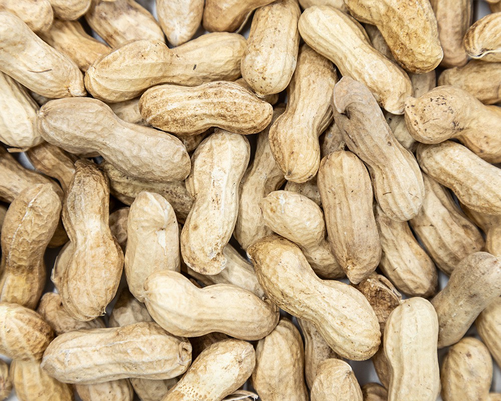 Peanuts in Shells (Monkey Nuts)