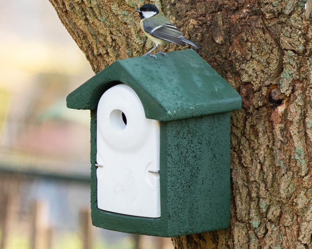 WoodStone Nest Box