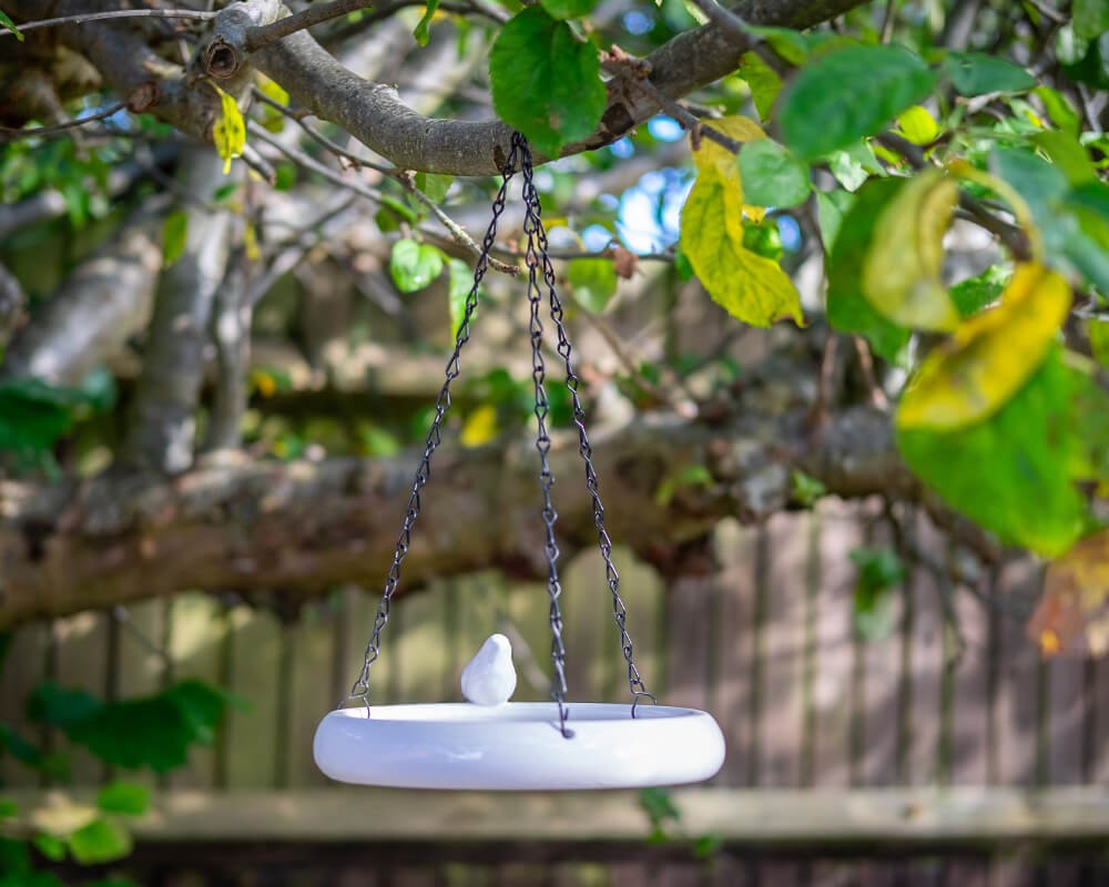 Shallow Ceramic Hanging Water Dish